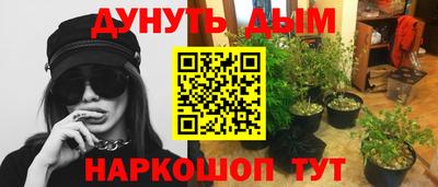 кокаин Гатчина