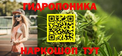 прущий лед Гай