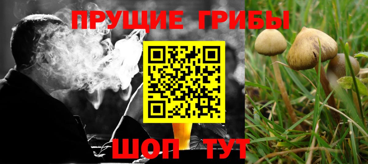 Псилоцибиновые грибы Magic Shrooms Звенигород
